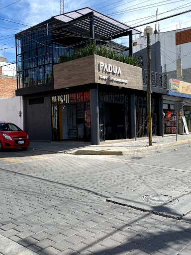 PADUACAFE - Visual