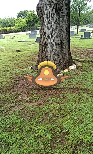 Granbury Cemetery Gallery - United States