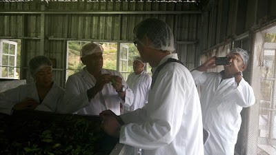 Photos of Nildalukanda Tea factory