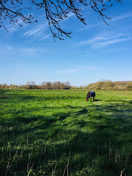 Photo n°4 de Pôle Équestre de La Garnache à La Garnache (Centre équestre)