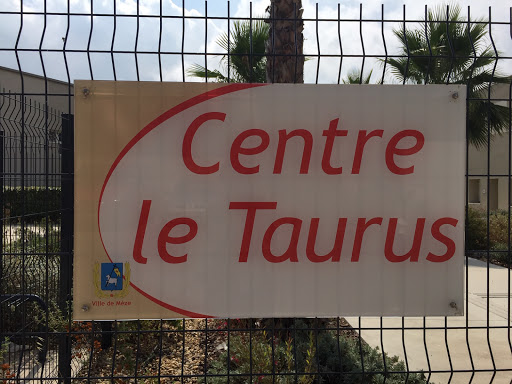 Welcome Center and Restoration Taurus - Thumbnail