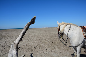 Photo n°3 de Centre de Tourisme Equestre la Grenouillère à Saintes-Maries-de-la-Mer (Centre de randonnée équestre)