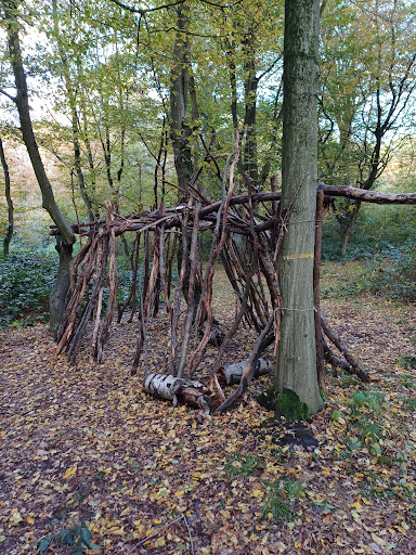 Foret de phalempin Gallery - France