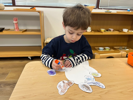 Growing Seeds Montessori School Gallery - United States