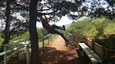 Photos of Parque Urbano Conaf