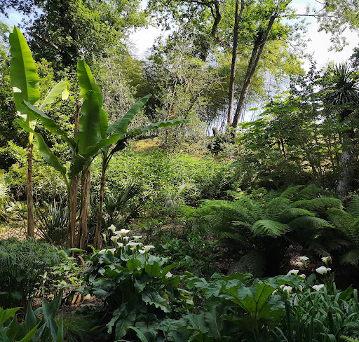 Jardin des Barthes - Thumbnail