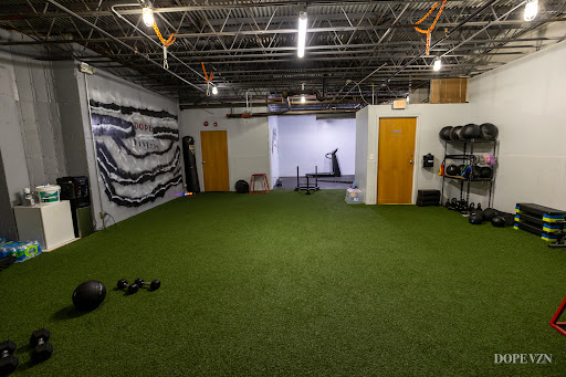 DOPE Training - Visual