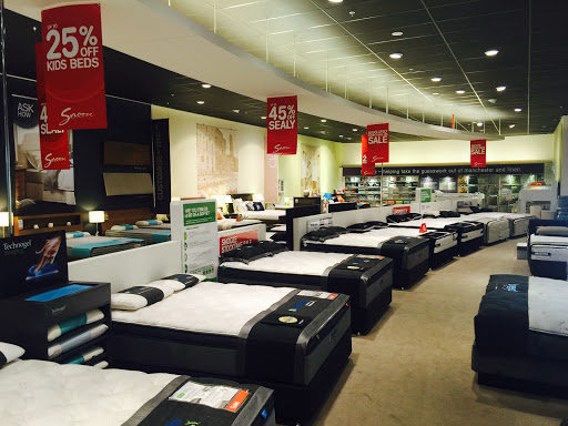 Snooze Springvale - Visual