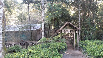 Photos of Fishing Hut