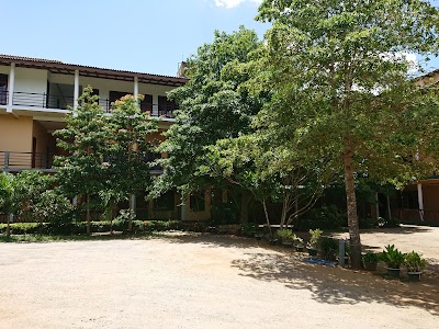 Photos of Wila Safari Hotel