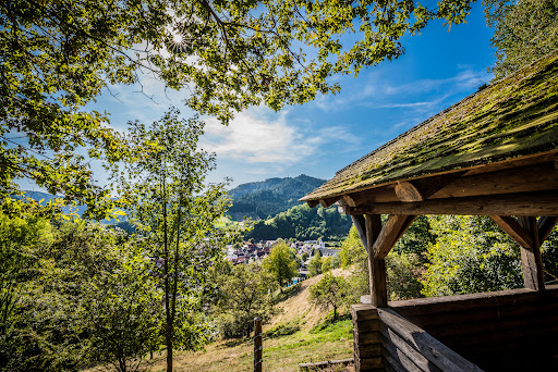 Schwarzwald Tourismus Kinzigtal e.V. - Thumbnail