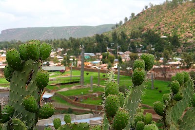 Photos of Yeha Hotel