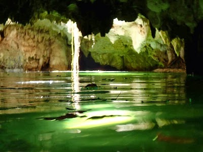 Photos of Tulum Monkey Sanctuary