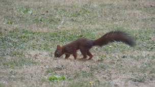 Photo n°7 de Chambre d'hôtes La Métairie des Dames à Coulonges-sur-l'Autize (Chambre d'hôtes)
