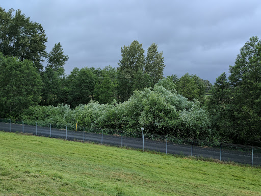 Delta Park - Visual