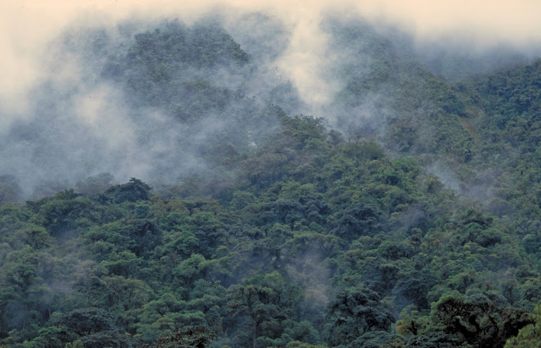 BIOPAT - Patenschaften für biologische Vielfalt e.V.