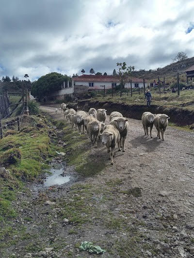 Photos of Parking access Laguna Magdalena
