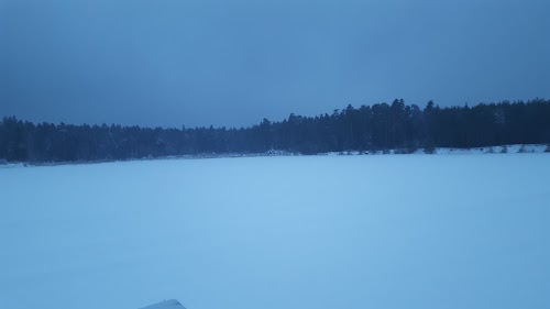 Seljametsa järv