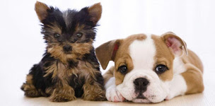 Photo n°2 de Cabinet D'Ostéopathie Mingot à Saint-Martin-de-Ré (Ostéopathe)