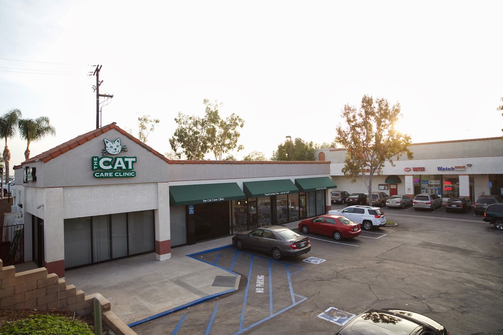 The Cat Care Clinic