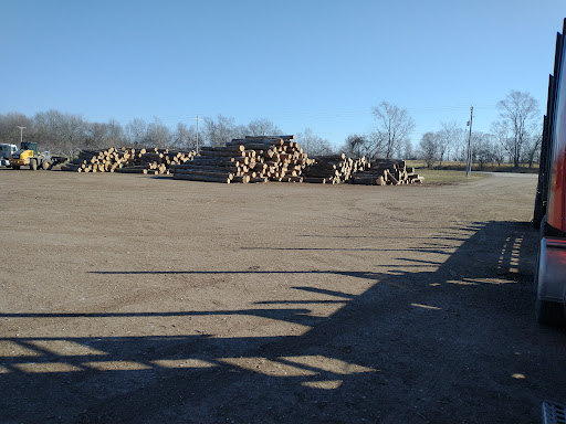 Poignant Logging - Thumbnail