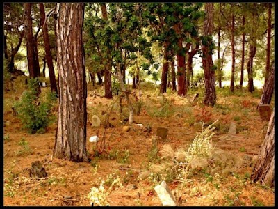 Photos of KONACIK K&Ouml;Y&Uuml;