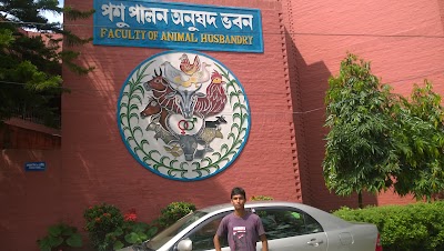 university