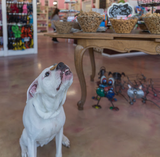 Woof Gang Bakery & Grooming Starland - Thumbnail