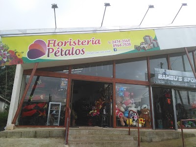 Photos of Florister&iacute;a P&eacute;talos AZ