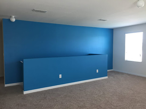 Professional Painter Cleaner and Repair, LLC