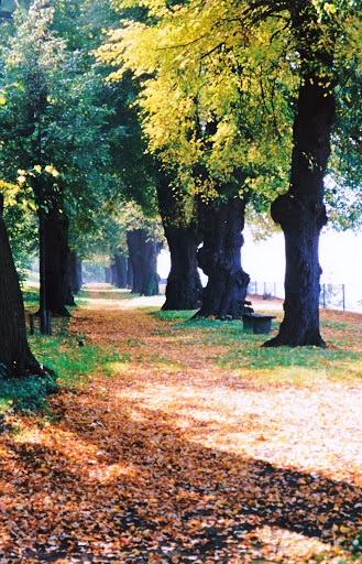 Mendelssohn-Allee - Thumbnail