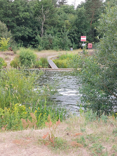 Hornbosteler Hutweide - Thumbnail