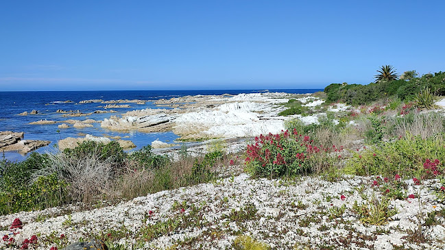 Reviews of Admiral Court Motel in Kaikoura - Hotel