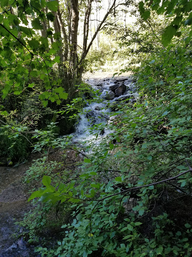Oakley Stake Ranch - Thumbnail