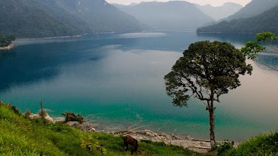 Photos of Adrenalina Tours Guatemala