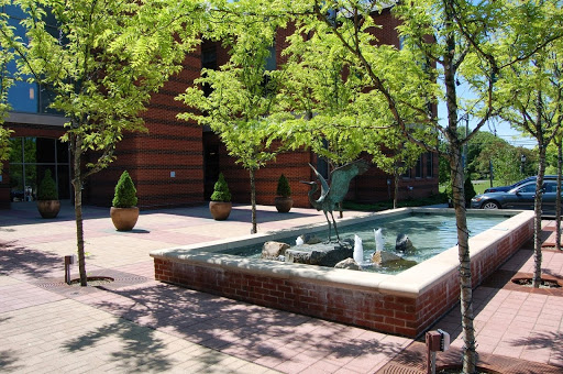Darien Library