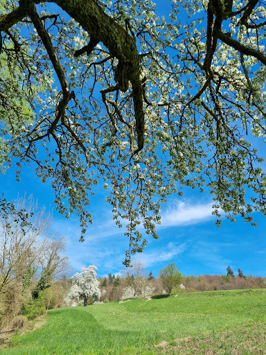 Mindelsee Runde zum Wild- und Freizeitpark Allensbach und zurück - Impressionen - Thumbnail