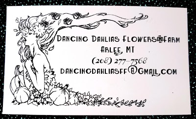 Dancing Dahlias Flowers and Farm