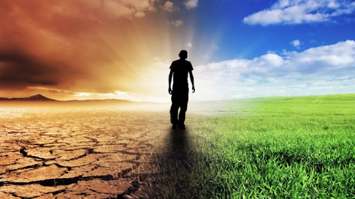 Steps Recovery Center (Murray) Outpatient Rehab
