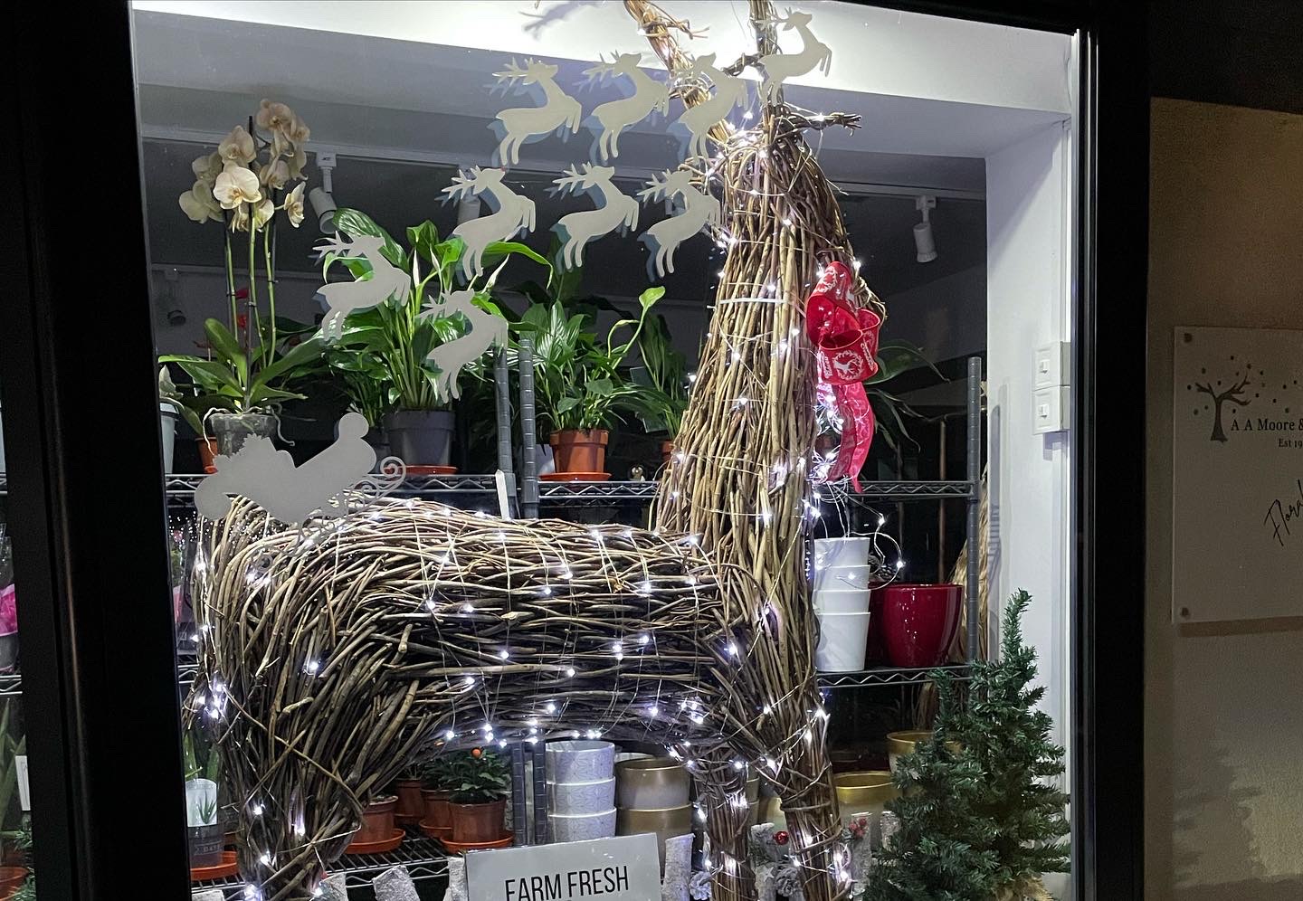 A A Moore & Son Ltd - Florists - photo 1