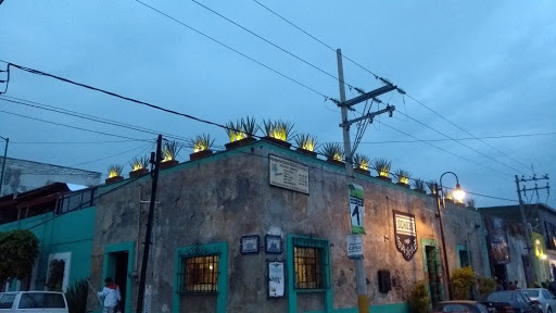 Vortex Mexico - Visual