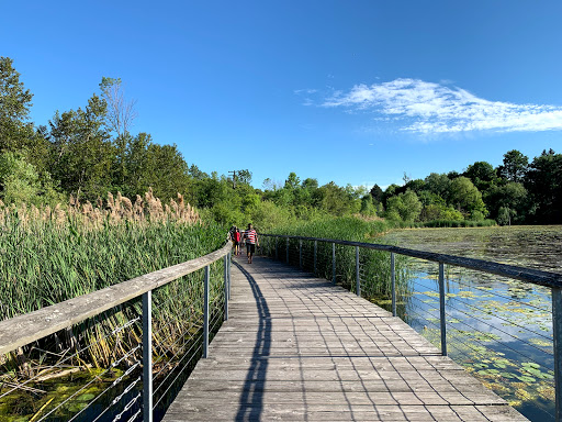 Rouge National Urban Park, Rouge Beach and Marsh - Thumbnail