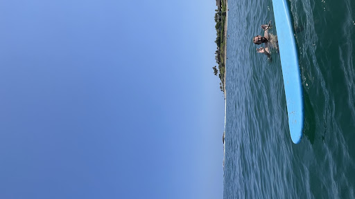 Chawin Fishing Sayulita & Ocean Sports