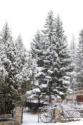 Photo n°9 de Bureau des Chalets Hosszu à Vars (Chalet)