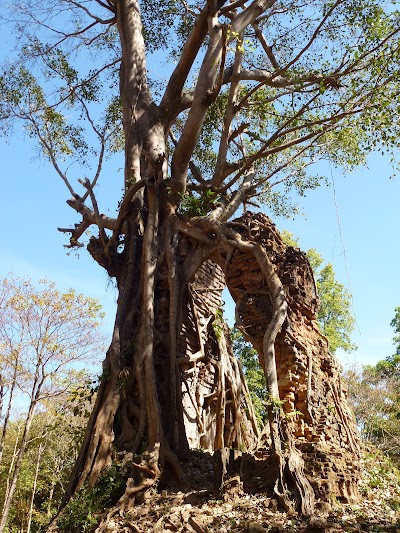 Photos of Asram Eisei Temple