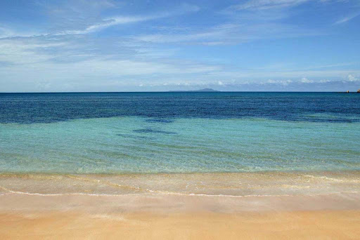 Lynn Rodgers Real Estate