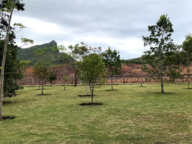 Seven Coloured Earth in Chamarel