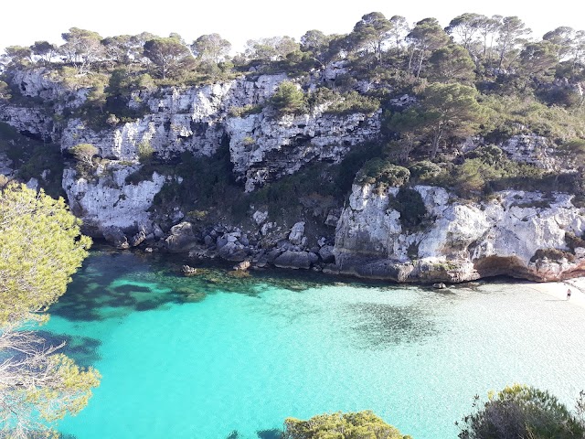 Cala macarelleta