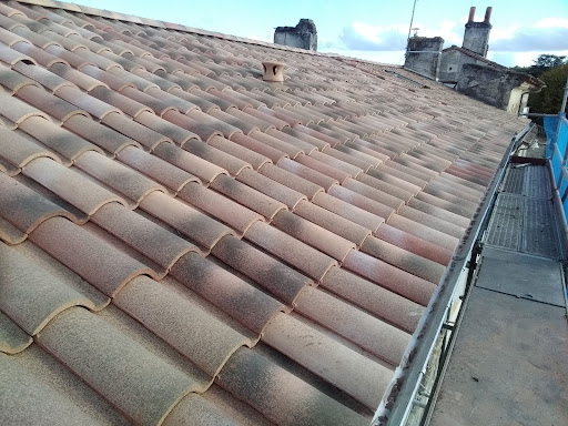 Photo de Tauzin Denis SARL à Fronsac (33126)