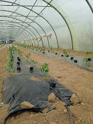 Photo n°5 de Ferme Sissan à Sedze-Maubecq (Ferme bio)